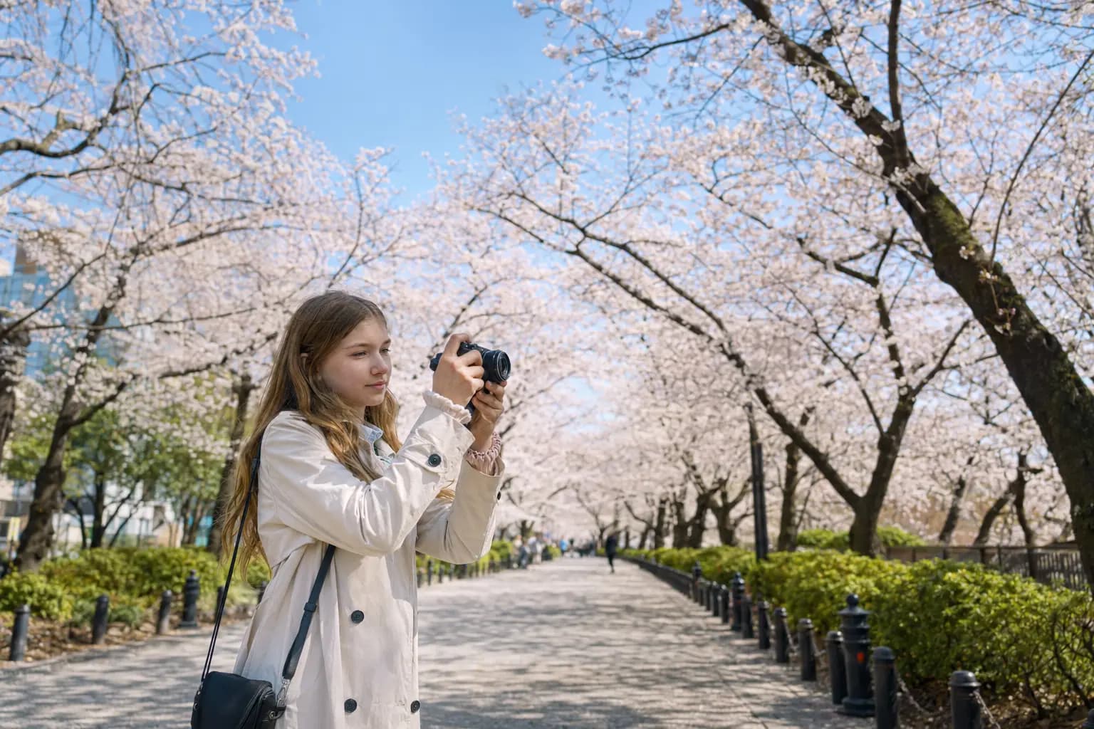 Bachelor of Culture Contents at Korea University