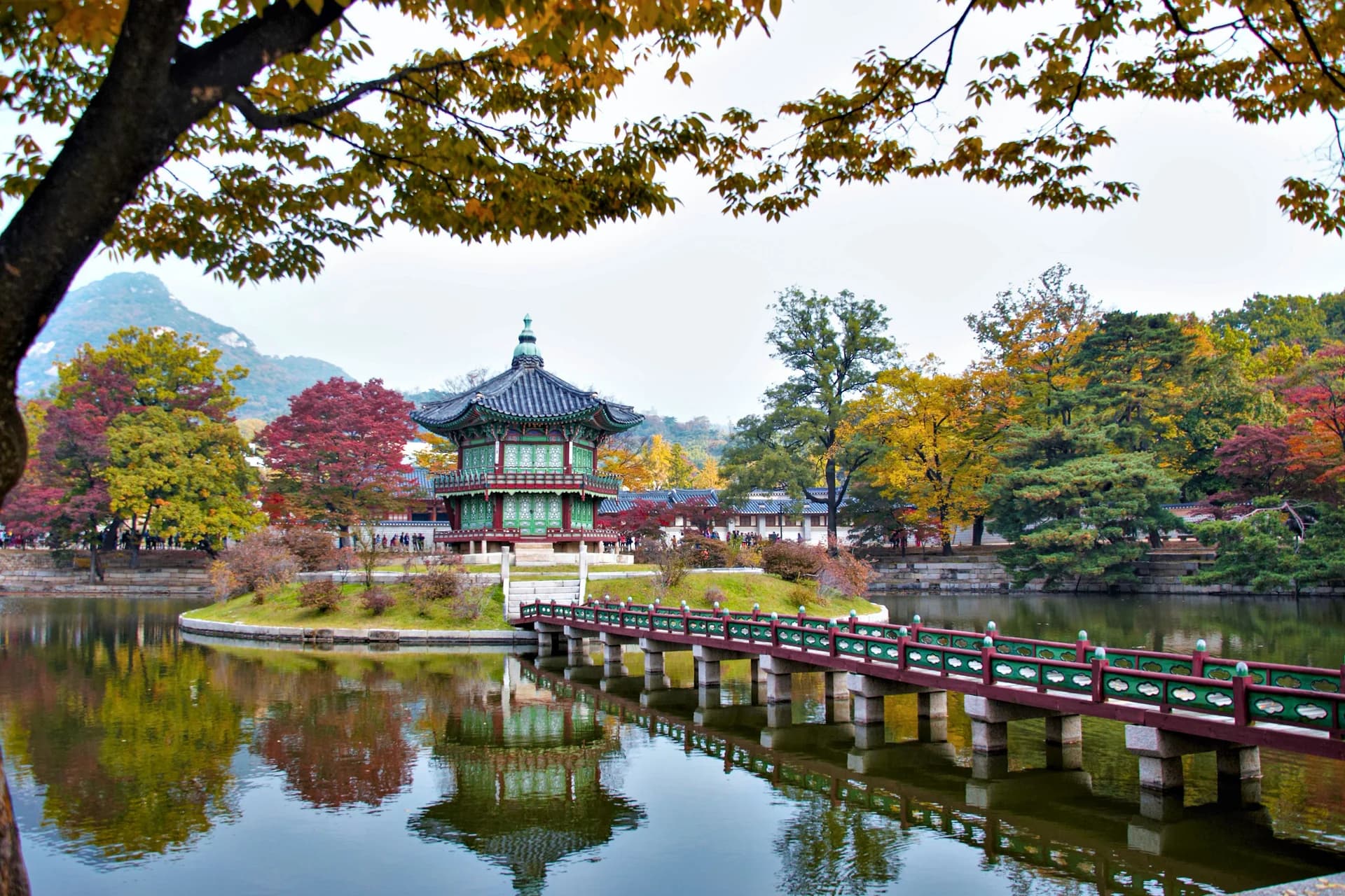 Bachelor of Korean Unification, Diplomacy and Security at Korea University