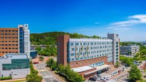 Bachelor of Advanced Materials Chemistry at Korea University - image 1
