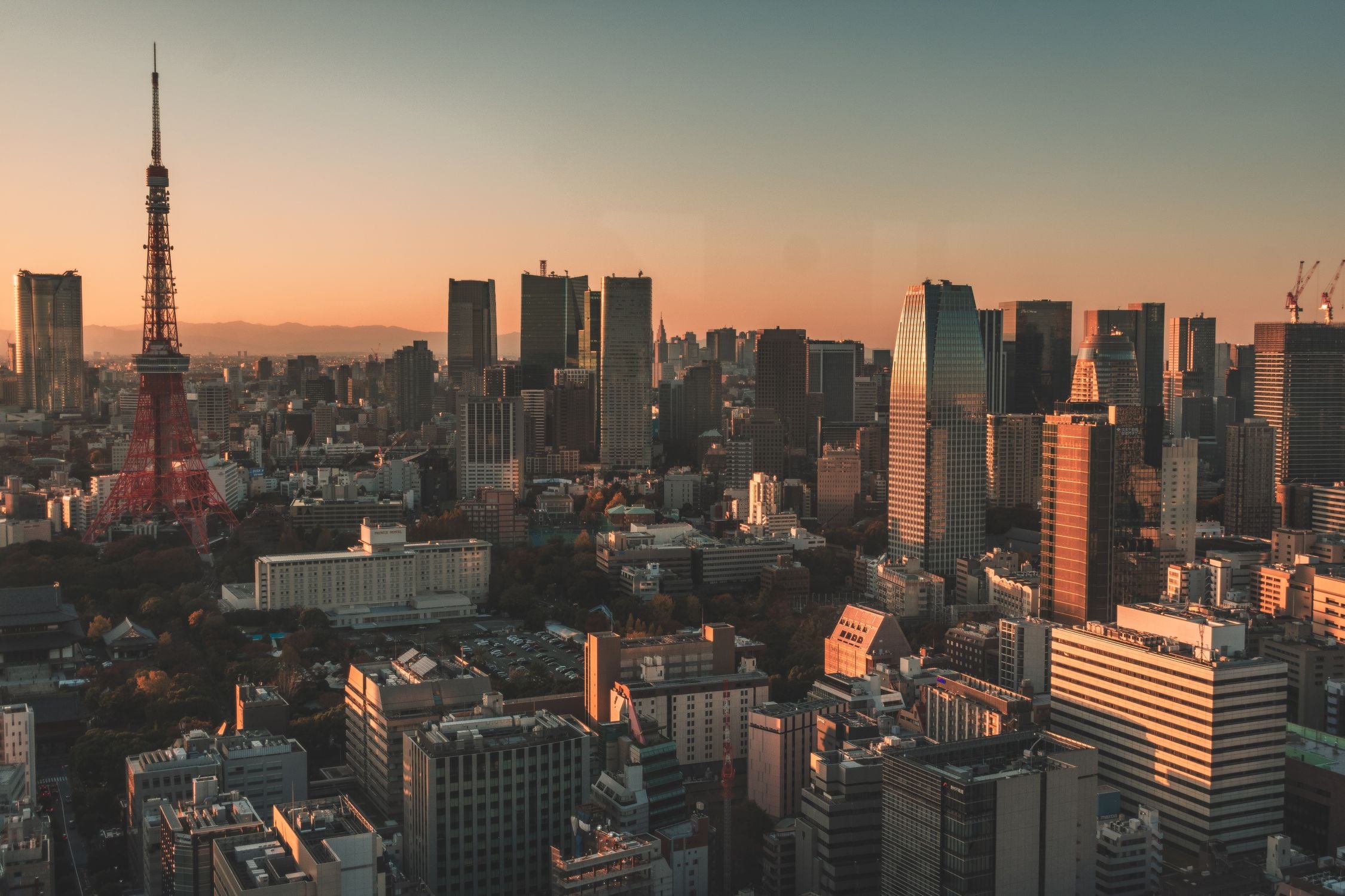 Tokyo Summer Intensive