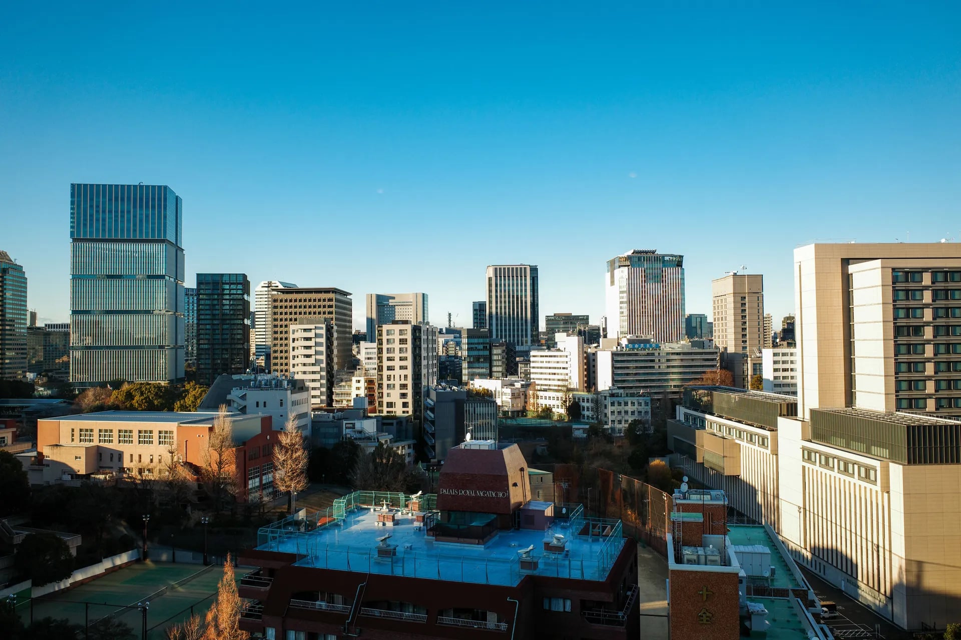 Study Abroad in Japan
